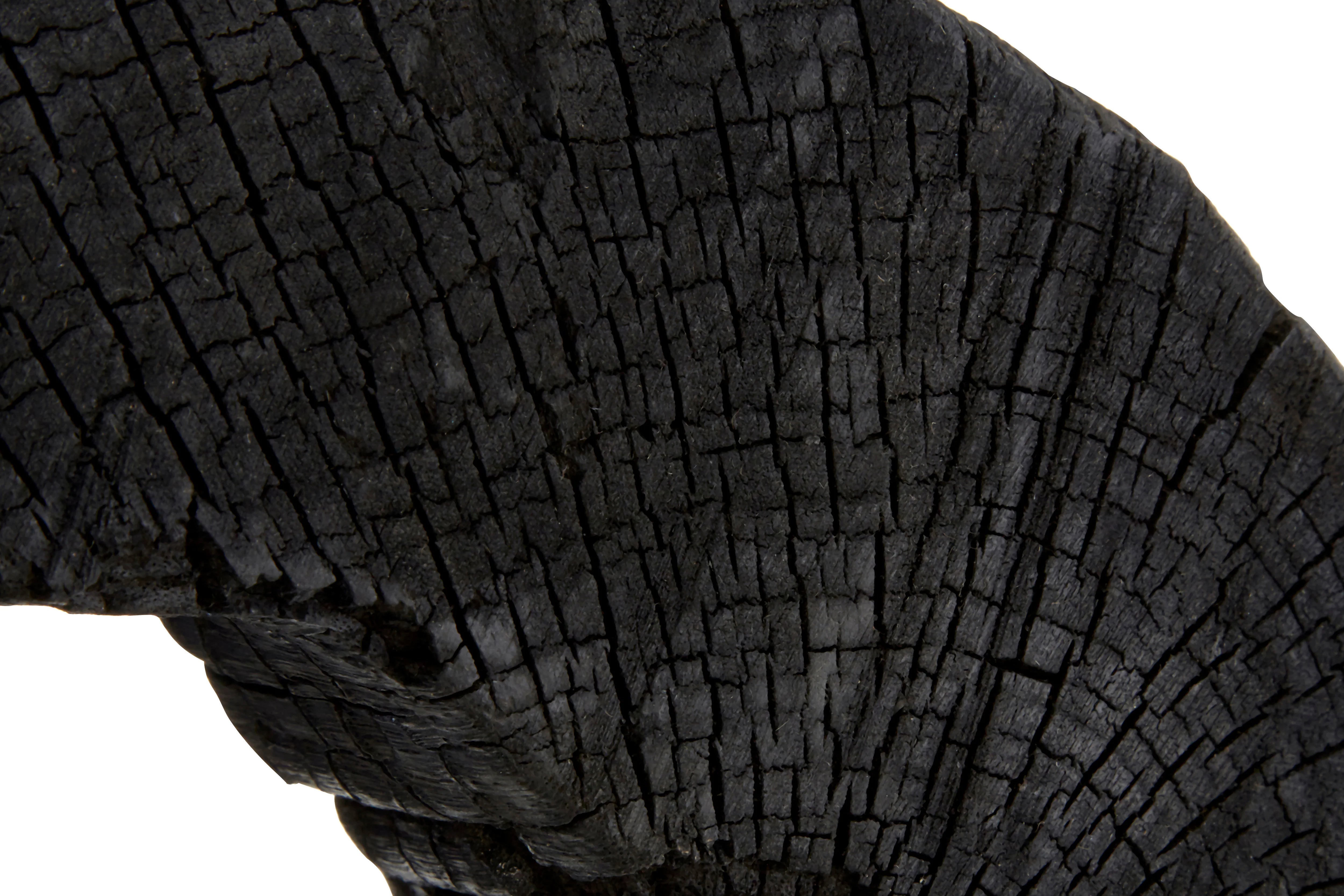 Osprey Rustic Black Mango Wood Hollow Disk Sculpture | Small